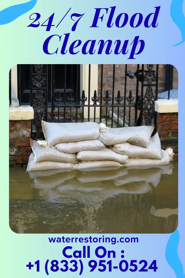 24/7 Flood Cleanup in Langdon Place, KY