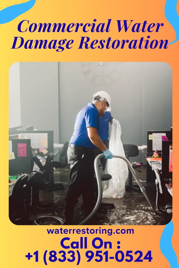 Commercial Water Damage Restoration in Langdon Place, KY