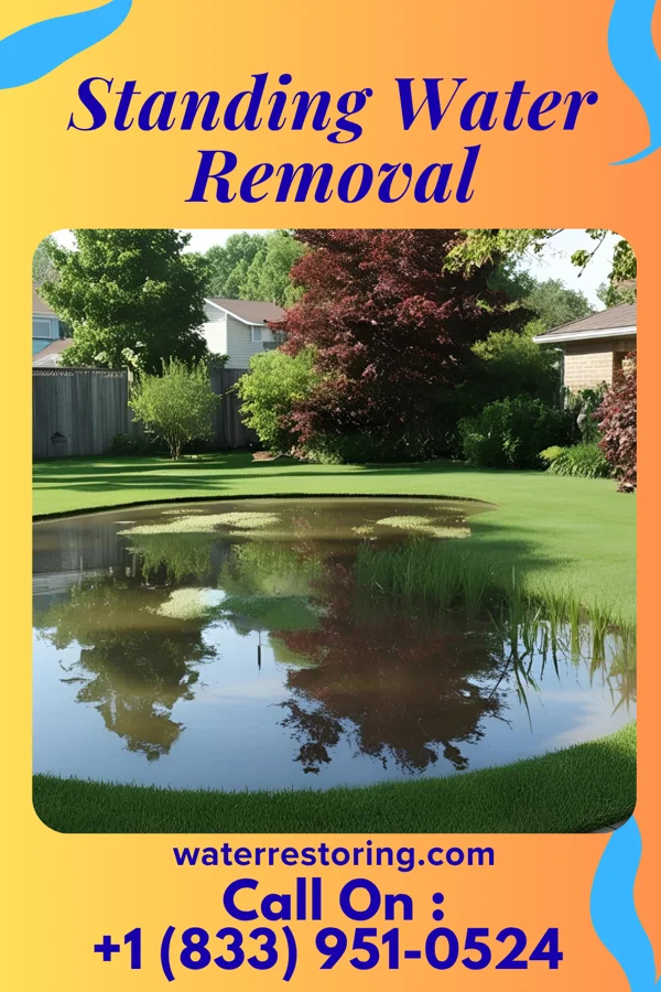 Standing Water Removal in Langdon Place, KY